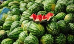 龙南网红吃瓜事件真相,揭秘背后真相与网络舆论风暴