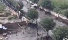 昆明大石坝爆料事件视频,真相与争议交织